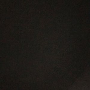 Meet your Posher, Rae